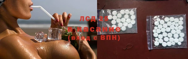 шишки Горно-Алтайск