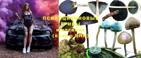 шишки Горно-Алтайск