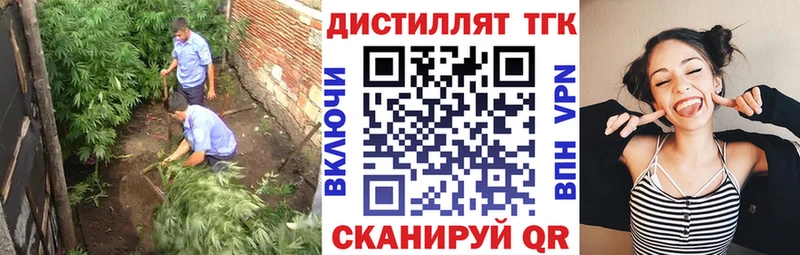 ТГК вейп с тгк  как найти закладки  Димитровград 