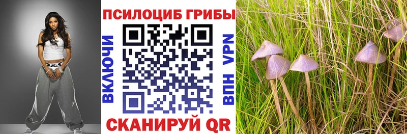 Псилоцибиновые грибы Psilocybine cubensis  гидра как зайти  Димитровград 